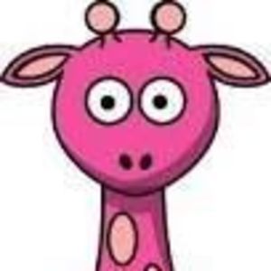 Meet your Posher, Briana